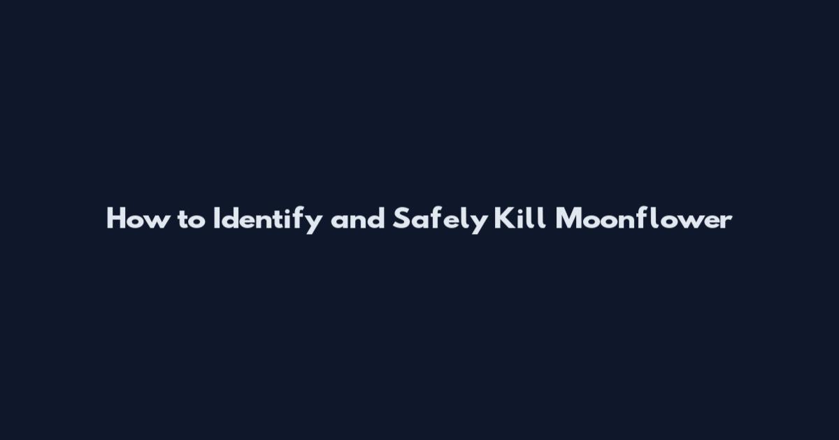 How to Identify and Safely Kill Moonflower