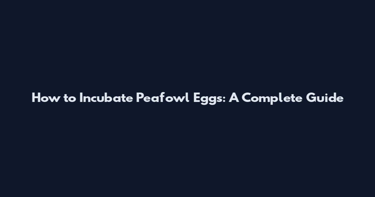 How to Incubate Peafowl Eggs: A Complete Guide