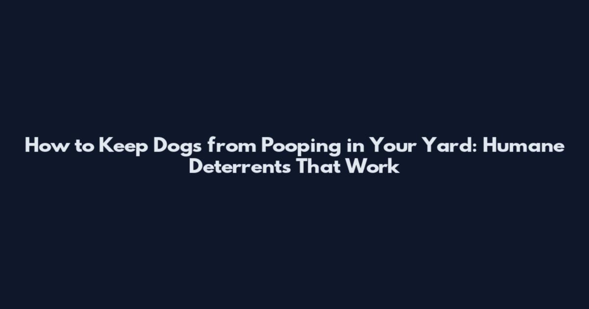 How to Keep Dogs from Pooping in Your Yard: Humane Deterrents That Work