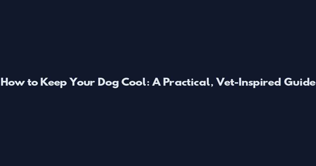 How to Keep Your Dog Cool: A Practical, Vet-Inspired Guide