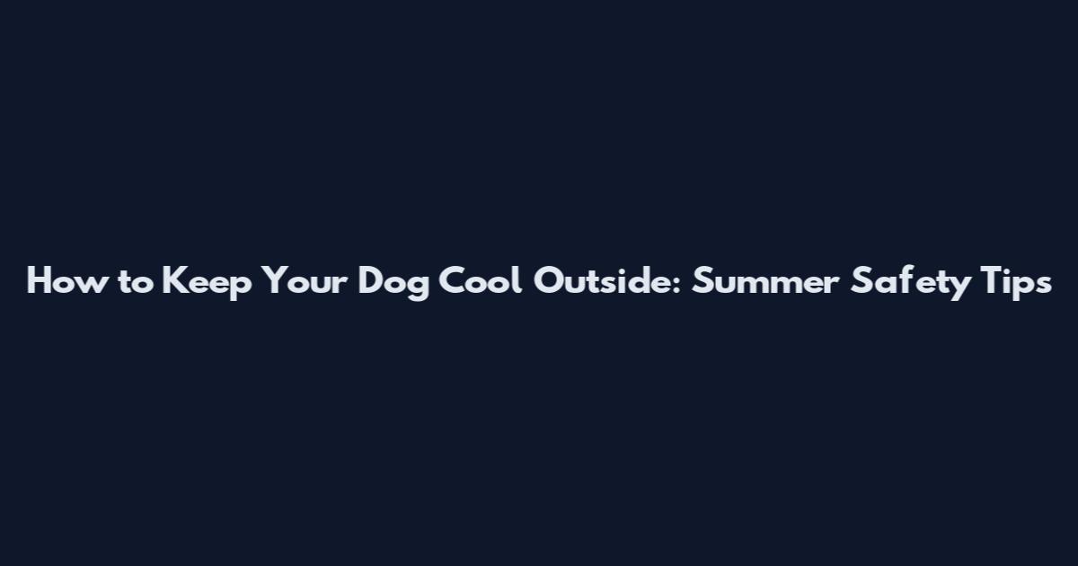 How to Keep Your Dog Cool Outside: Summer Safety Tips