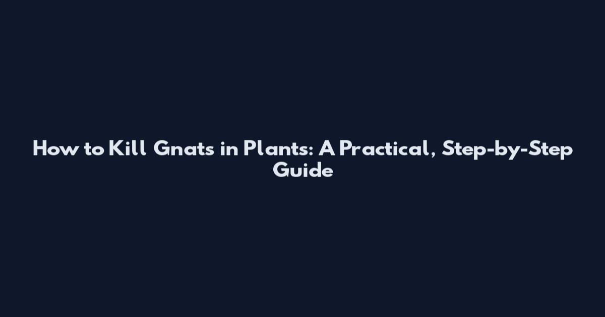 How to Kill Gnats in Plants: A Practical, Step-by-Step Guide