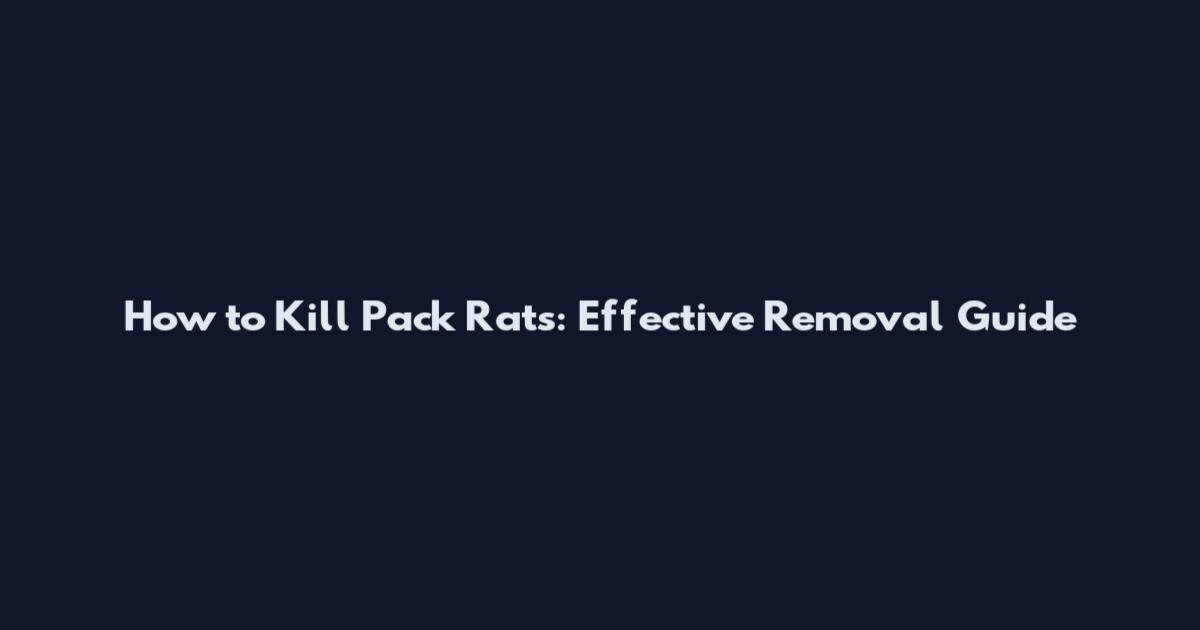 How to Kill Pack Rats: Effective Removal Guide