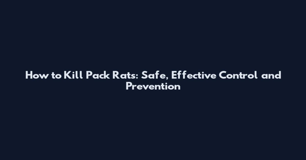 How to Kill Pack Rats: Safe, Effective Control and Prevention