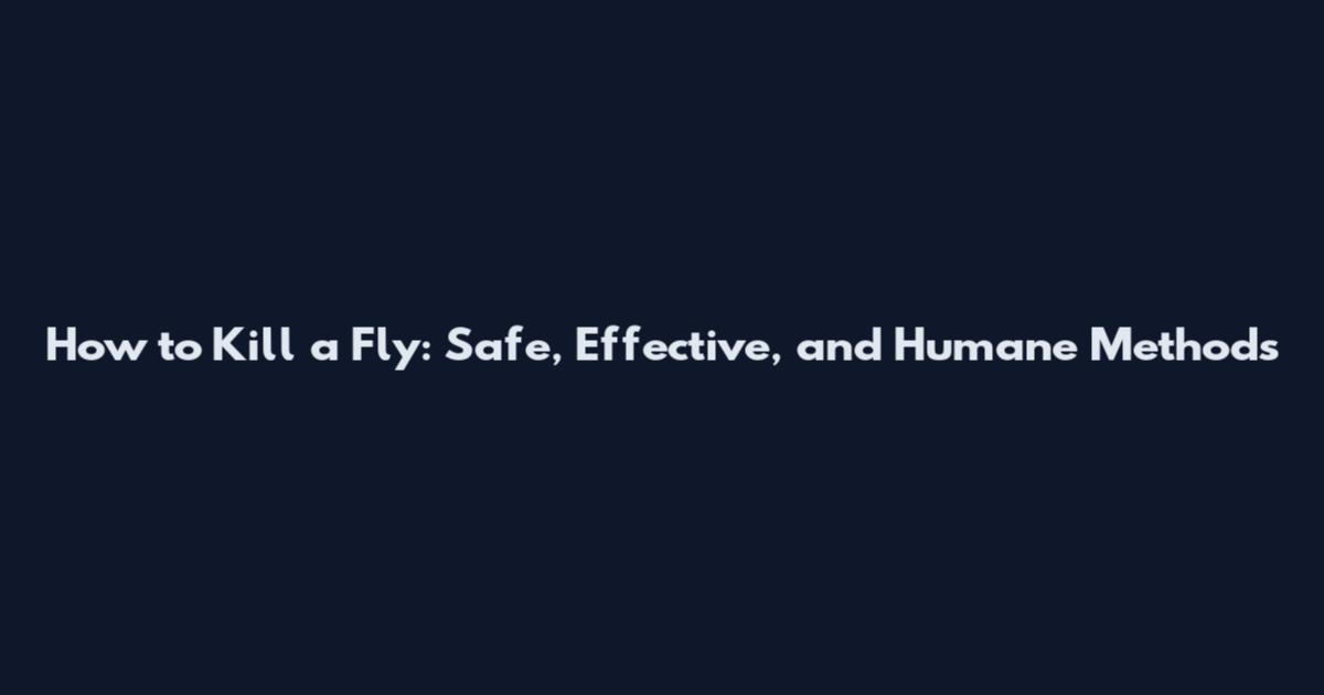 How to Kill a Fly: Safe, Effective, and Humane Methods