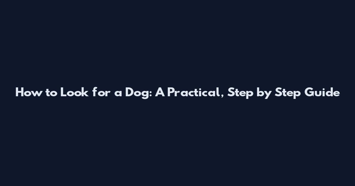 How to Look for a Dog: A Practical, Step by Step Guide