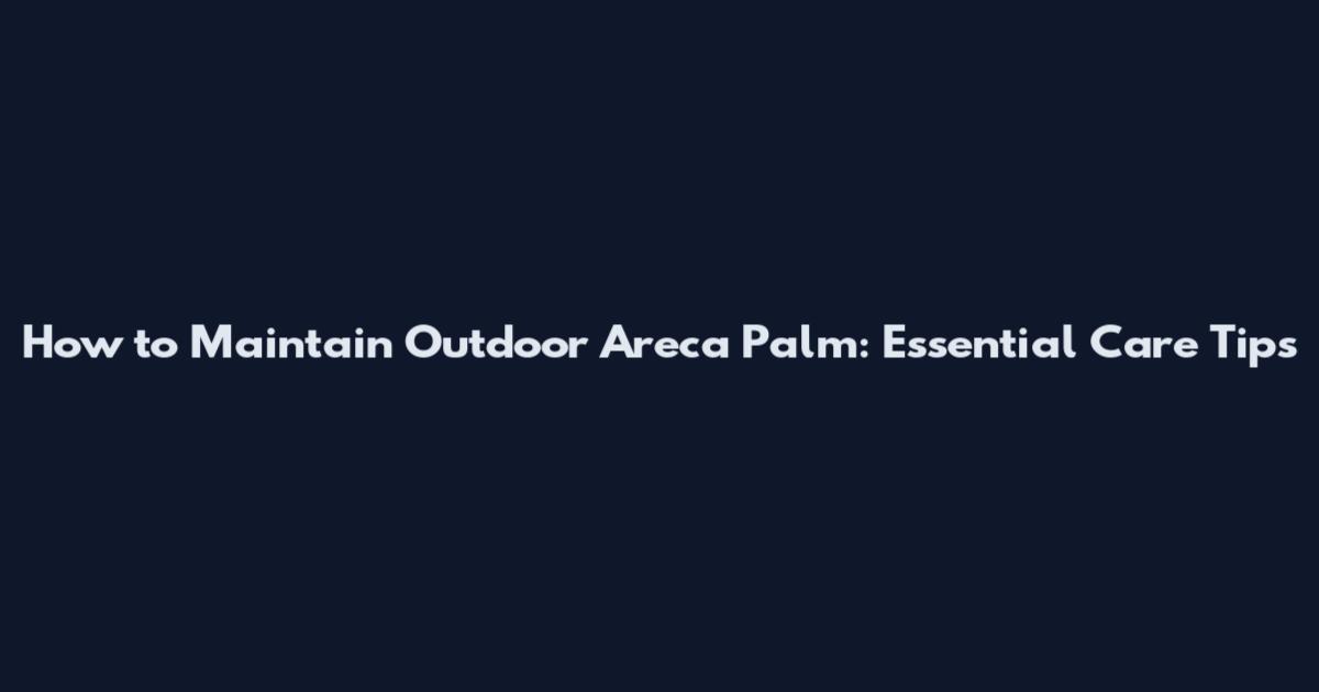 How to Maintain Outdoor Areca Palm: Essential Care Tips
