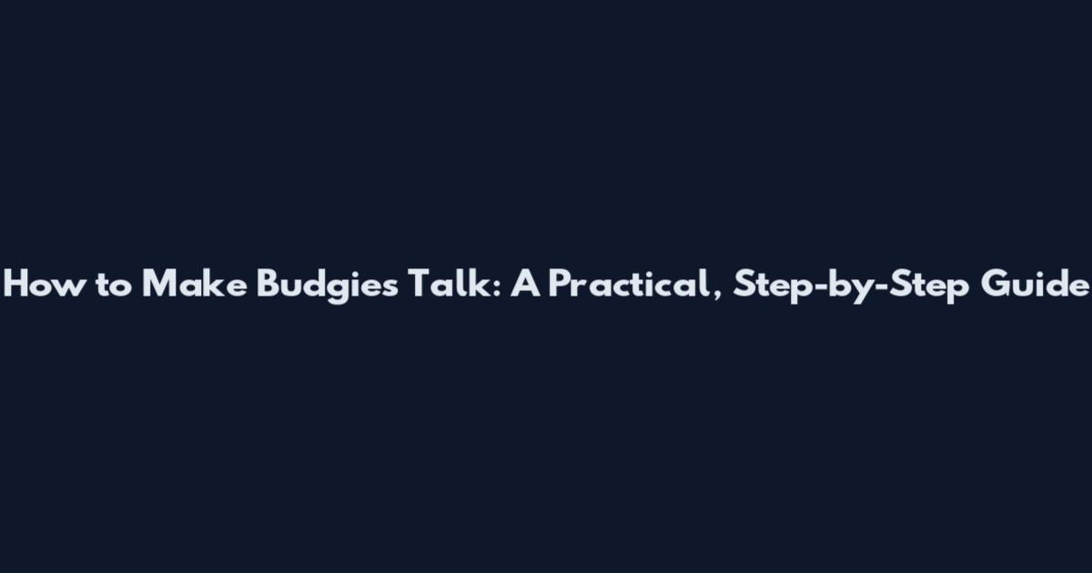 How to Make Budgies Talk: A Practical, Step-by-Step Guide