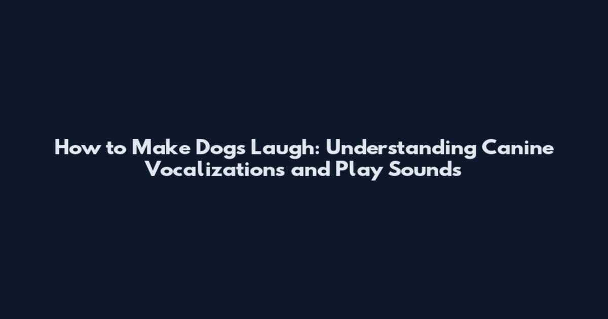 How to Make Dogs Laugh: Understanding Canine Vocalizations and Play Sounds