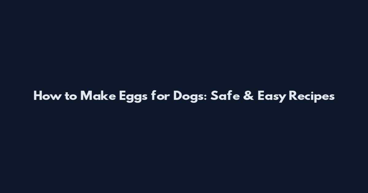 How to Make Eggs for Dogs: Safe & Easy Recipes