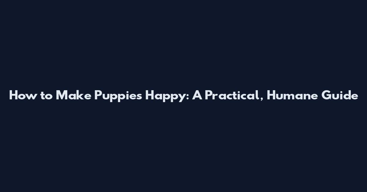 How to Make Puppies Happy: A Practical, Humane Guide