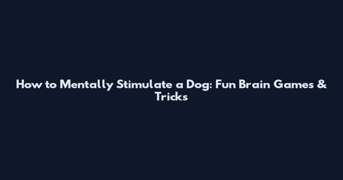 How to Mentally Stimulate a Dog: Fun Brain Games & Tricks