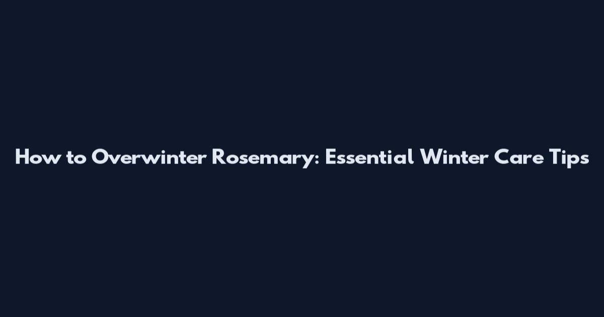How to Overwinter Rosemary: Essential Winter Care Tips