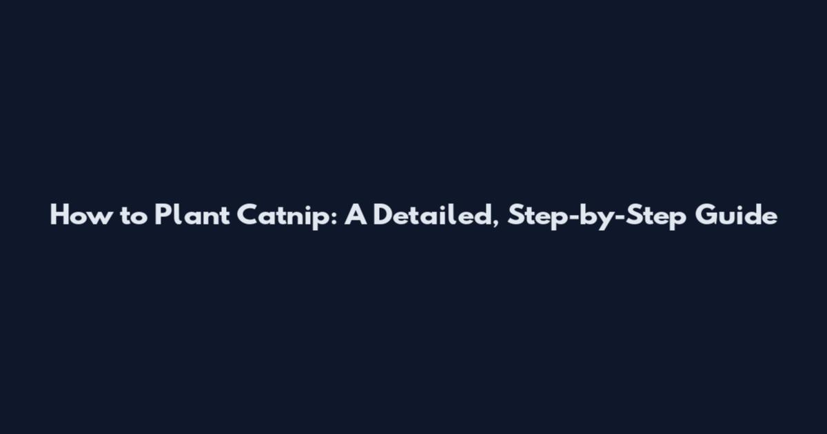 How to Plant Catnip: A Detailed, Step-by-Step Guide