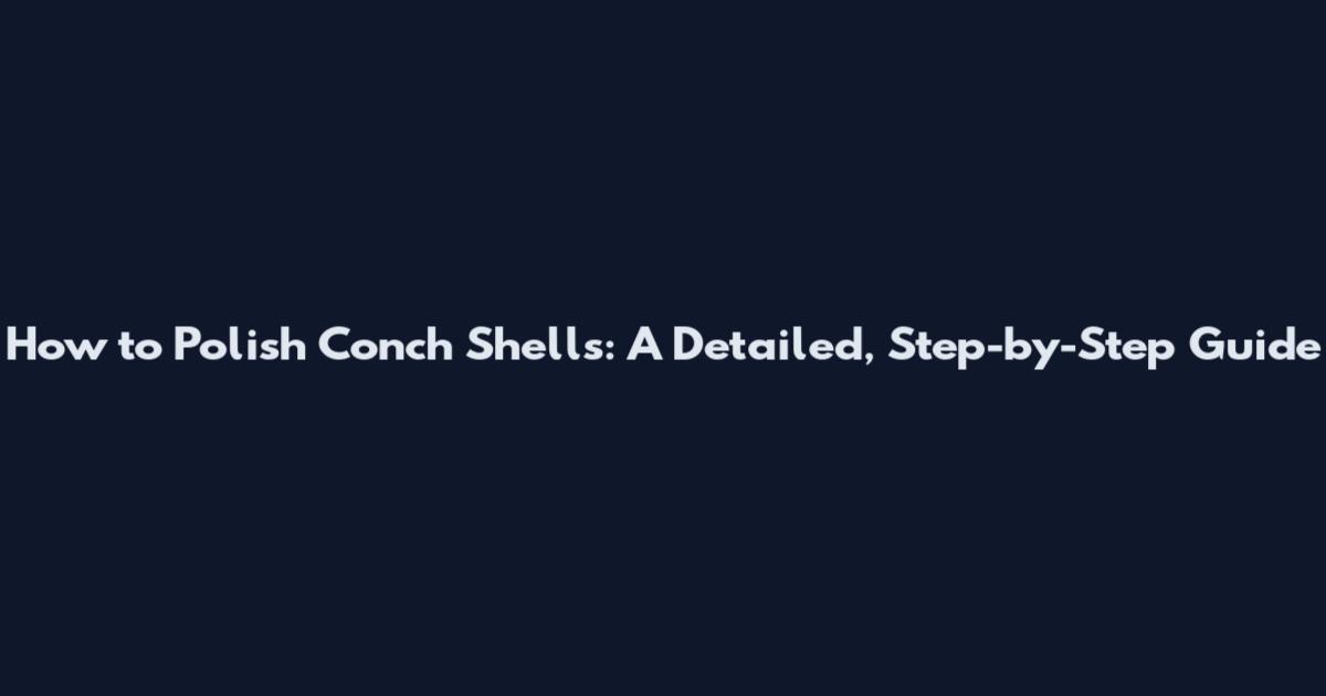 How to Polish Conch Shells: A Detailed, Step-by-Step Guide