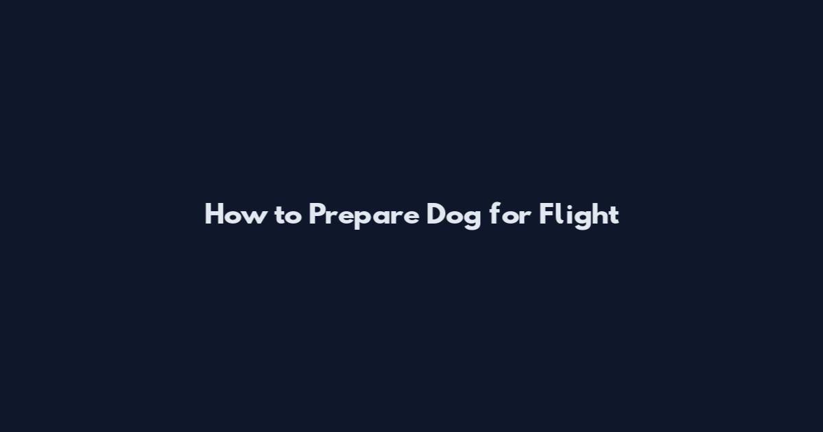 How to Prepare Dog for Flight