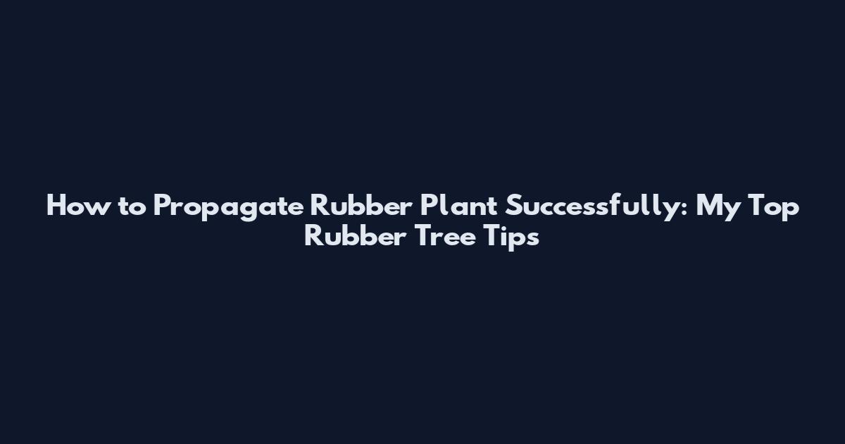 How to Propagate Rubber Plant Successfully: My Top Rubber Tree Tips