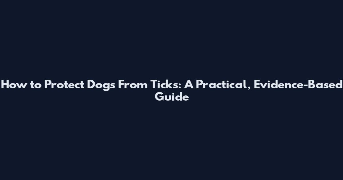How to Protect Dogs From Ticks: A Practical, Evidence-Based Guide