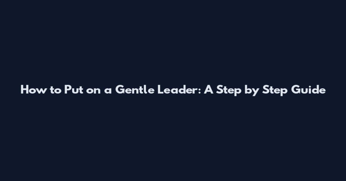 How to Put on a Gentle Leader: A Step by Step Guide