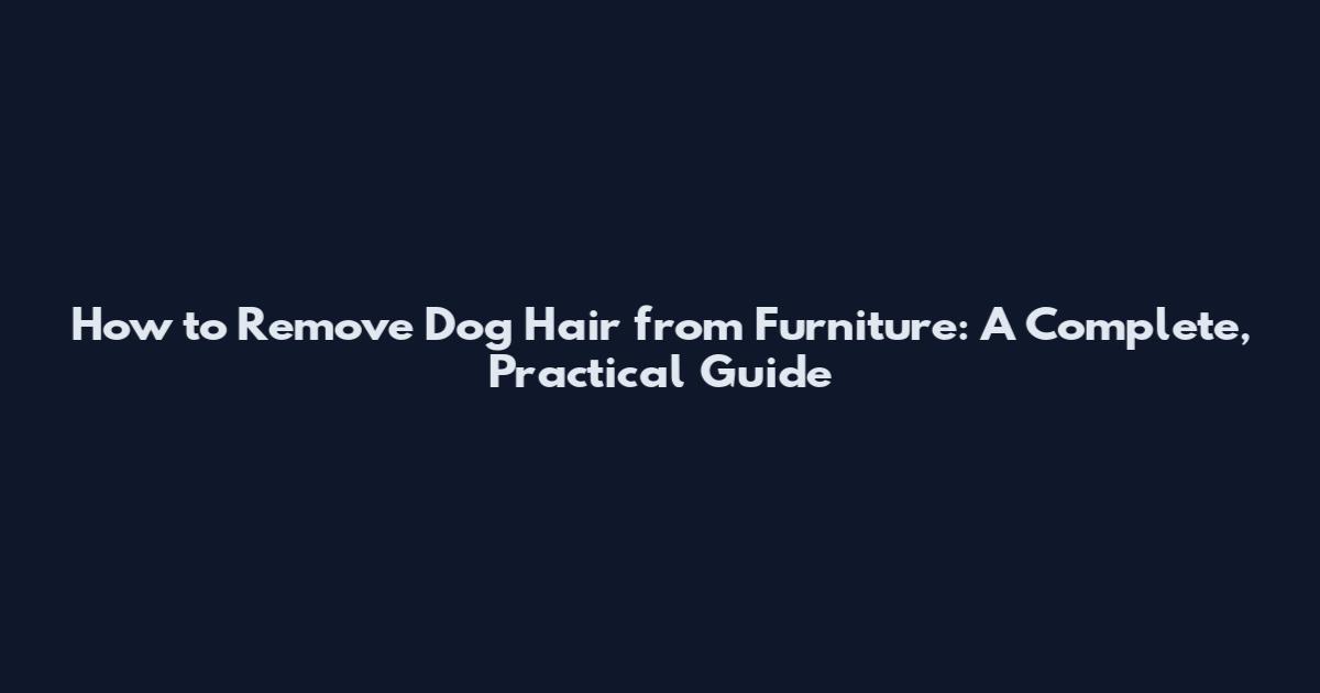 How to Remove Dog Hair from Furniture: A Complete, Practical Guide