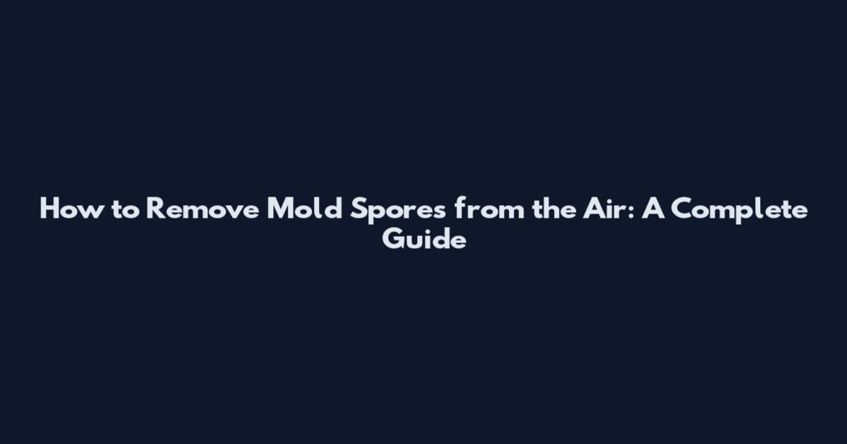 How to Remove Mold Spores from the Air: A Complete Guide