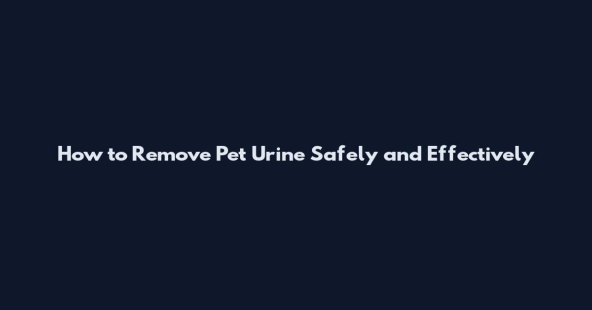 How to Remove Pet Urine Safely and Effectively