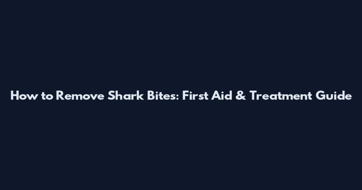How to Remove Shark Bites: First Aid & Treatment Guide