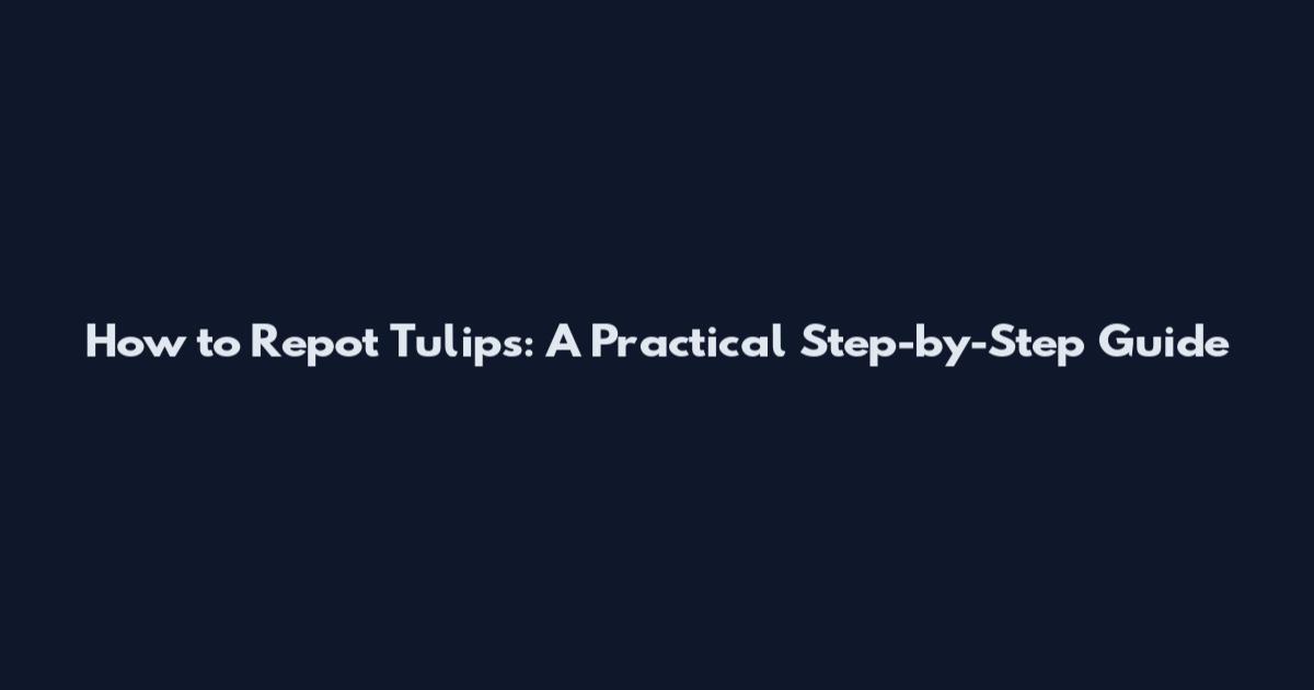 How to Repot Tulips: A Practical Step-by-Step Guide