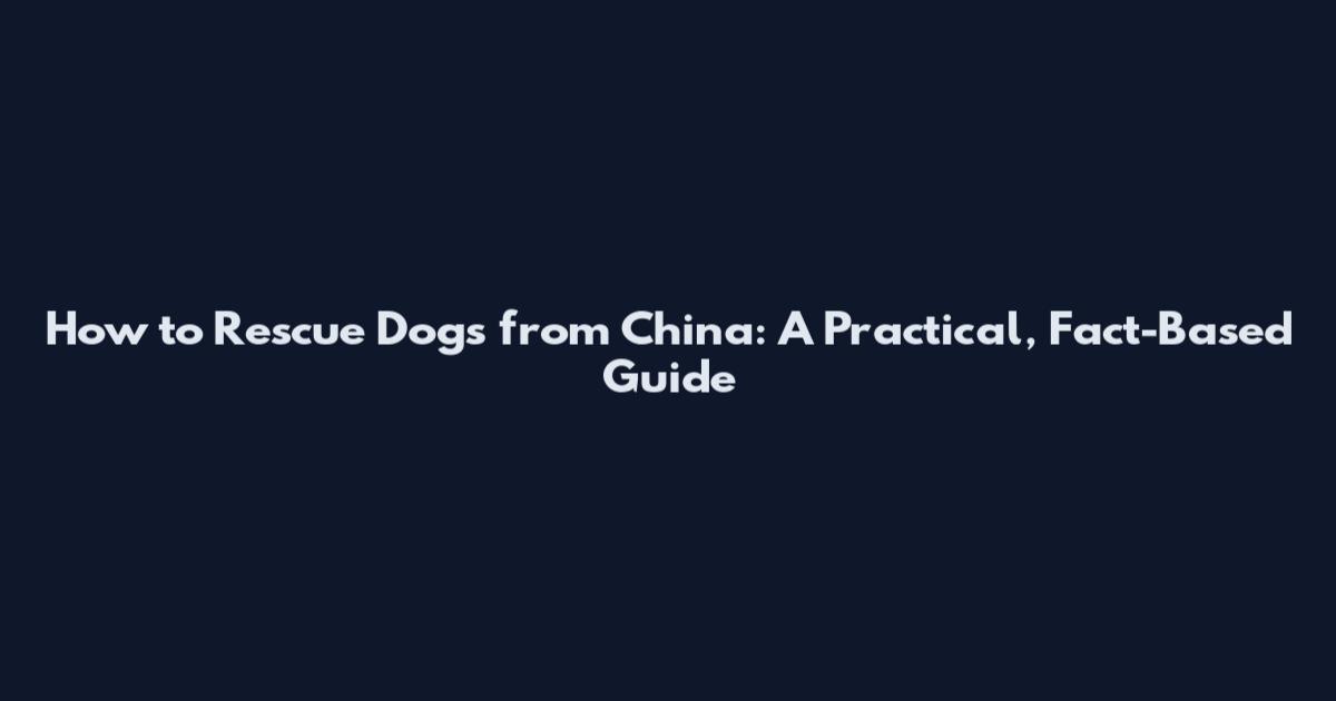 How to Rescue Dogs from China: A Practical, Fact-Based Guide