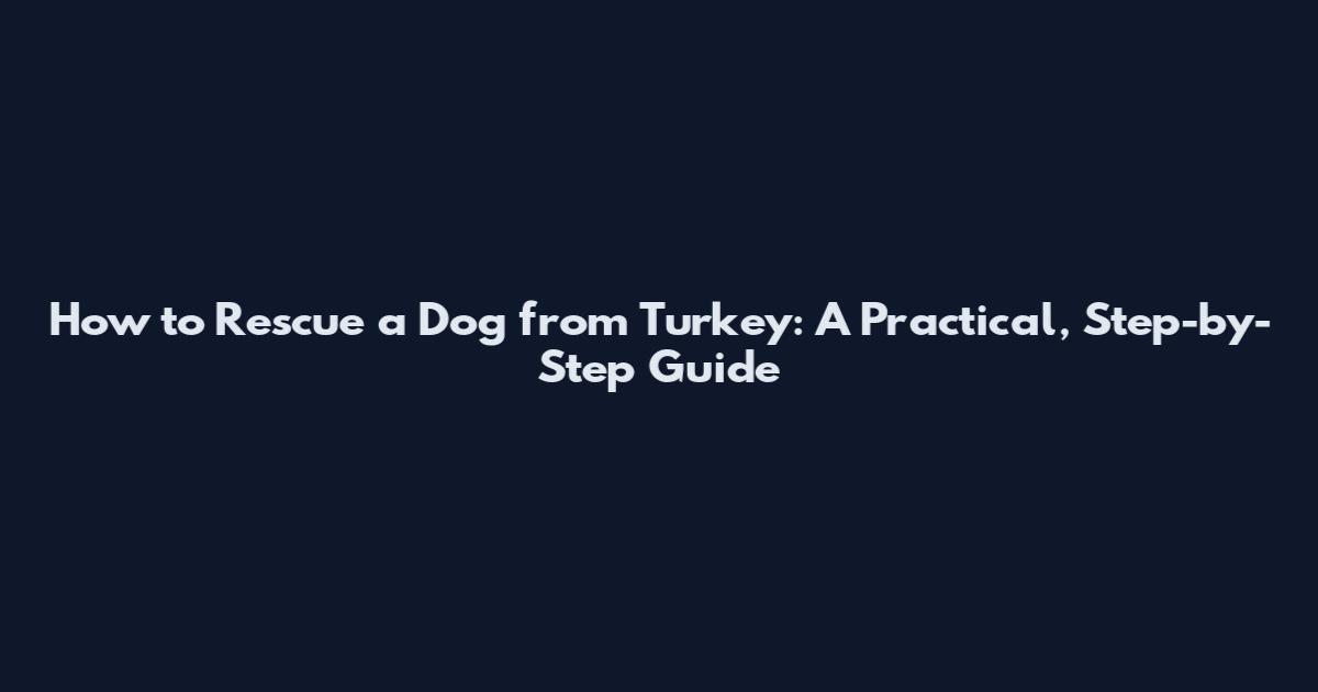 How to Rescue a Dog from Turkey: A Practical, Step-by-Step Guide