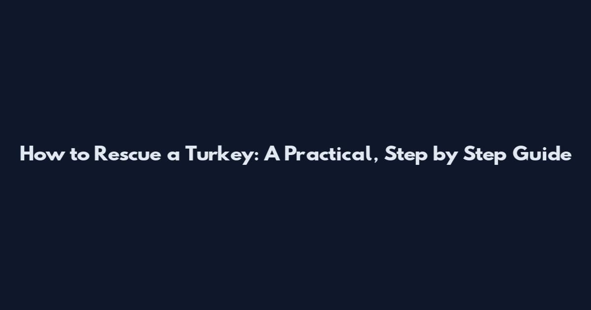 How to Rescue a Turkey: A Practical, Step by Step Guide