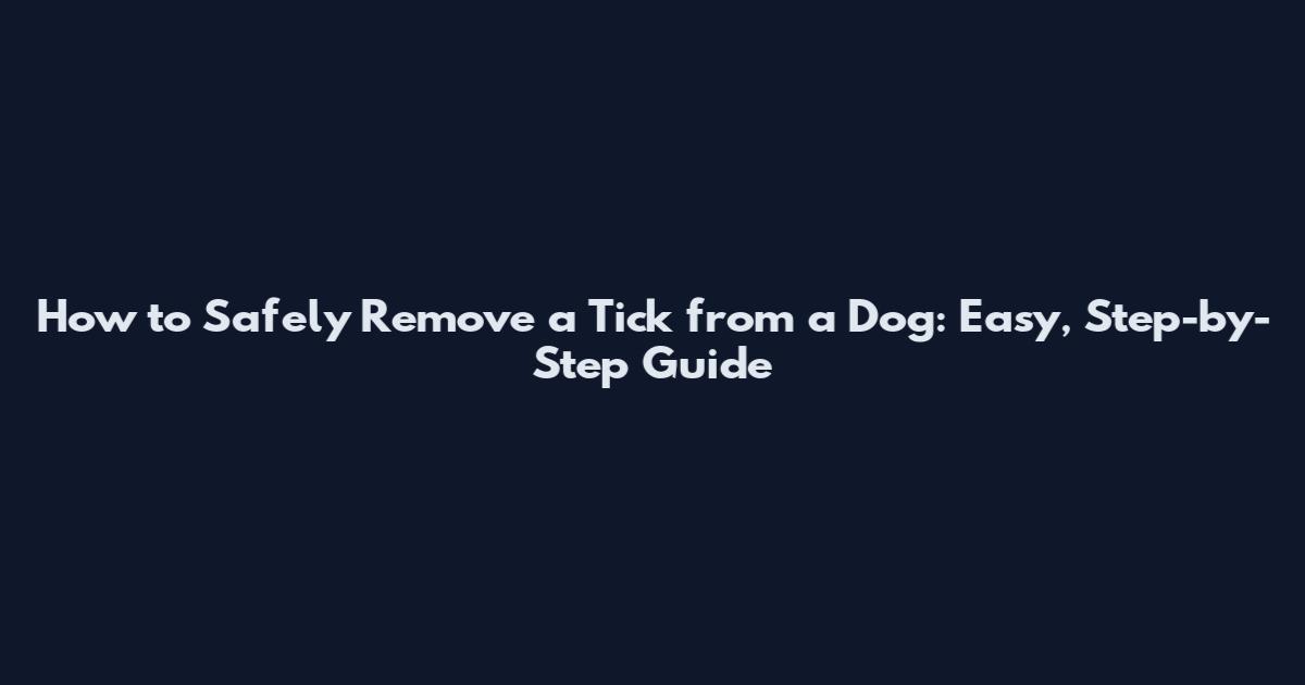 How to Safely Remove a Tick from a Dog: Easy, Step-by-Step Guide