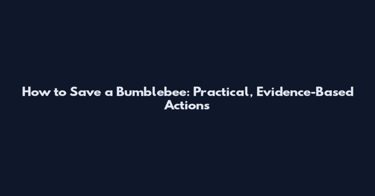 How to Save a Bumblebee: Practical, Evidence-Based Actions