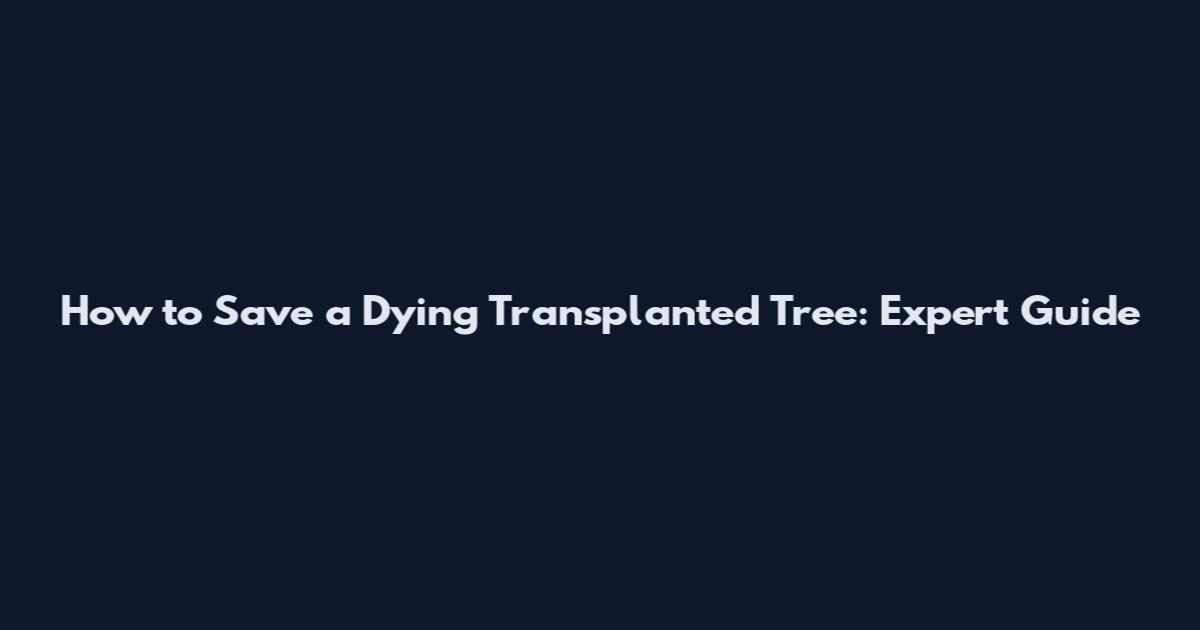 How to Save a Dying Transplanted Tree: Expert Guide