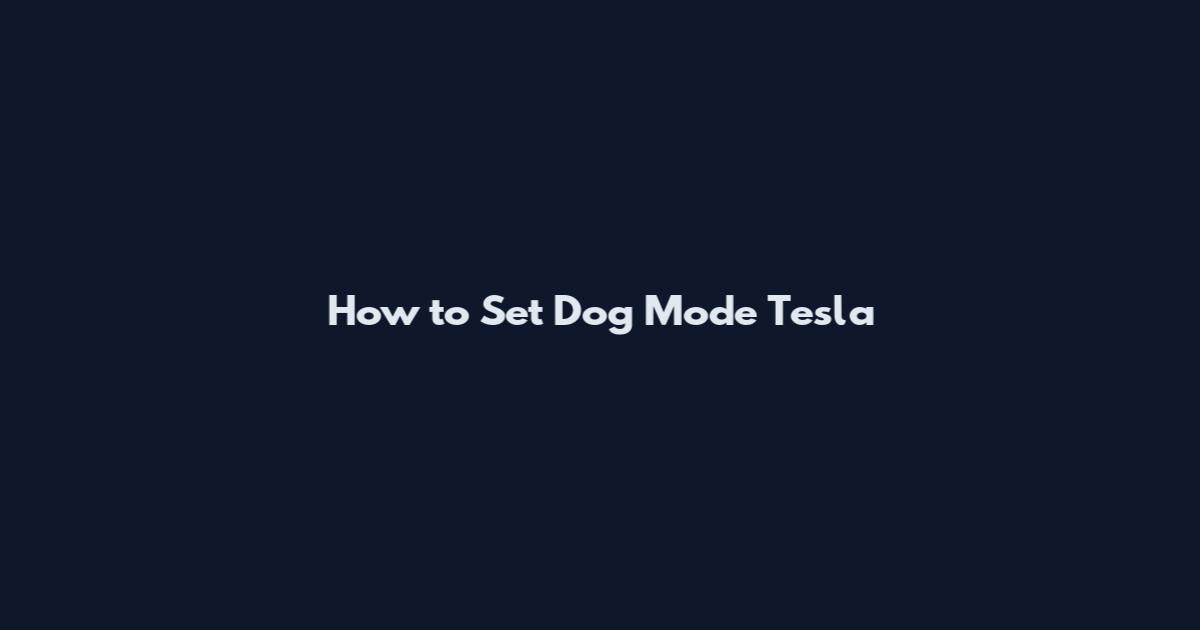 How to Set Dog Mode Tesla