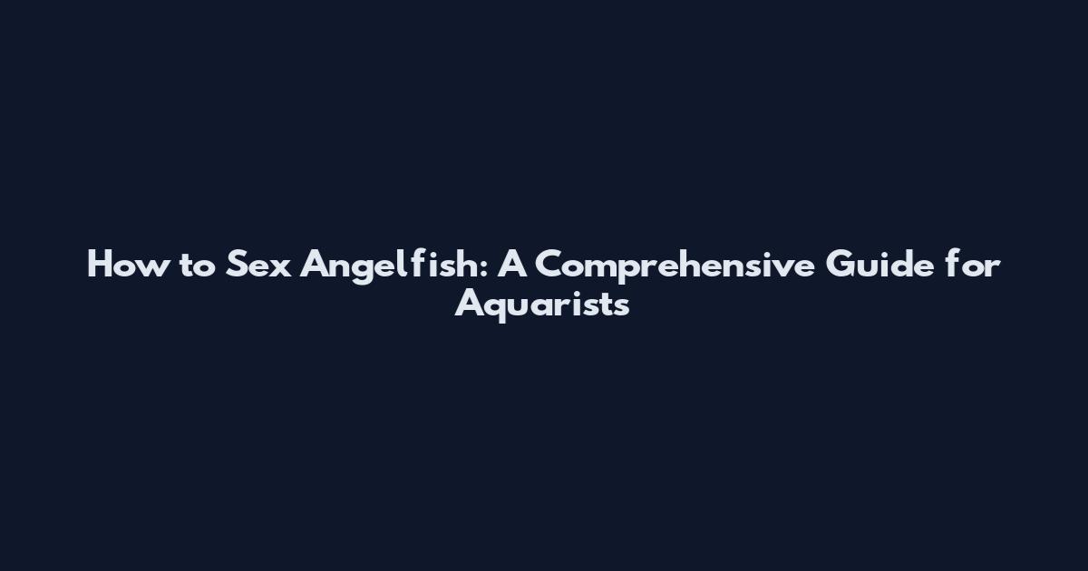 How to Sex Angelfish: A Comprehensive Guide for Aquarists