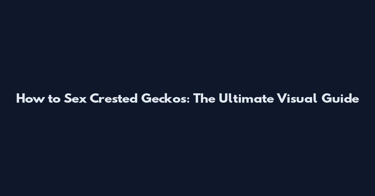 How to Sex Crested Geckos: The Ultimate Visual Guide