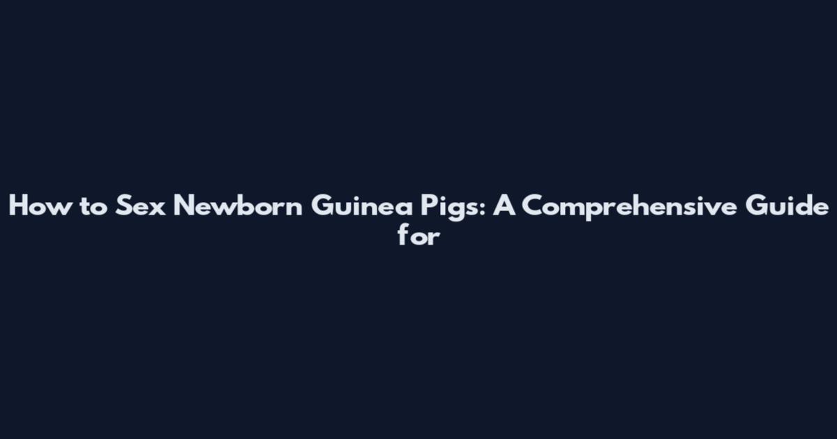 How to Sex Newborn Guinea Pigs: A Comprehensive Guide for