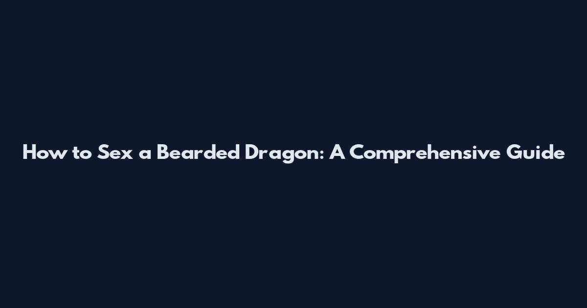 How to Sex a Bearded Dragon: A Comprehensive Guide