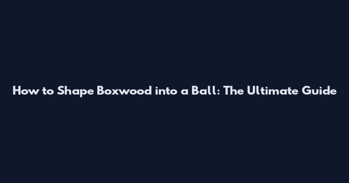 How to Shape Boxwood into a Ball: The Ultimate Guide