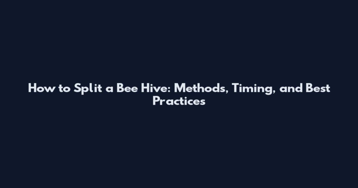 How to Split a Bee Hive: Methods, Timing, and Best Practices