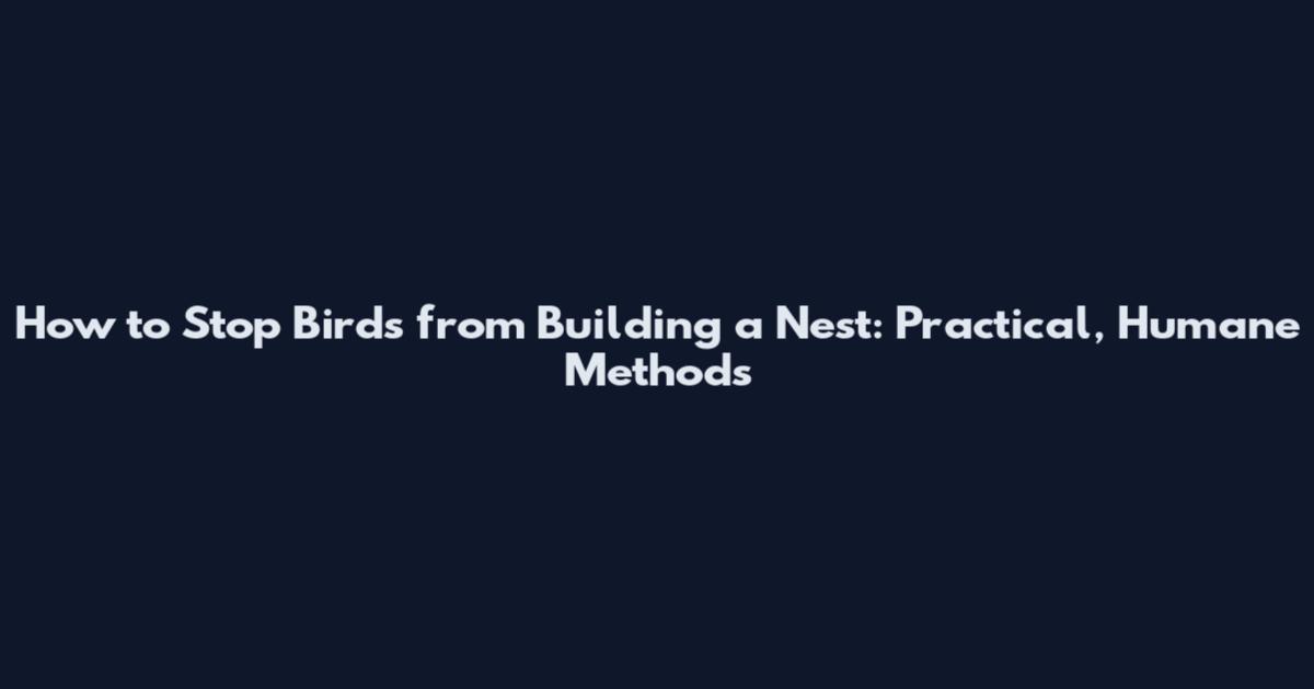 How to Stop Birds from Building a Nest: Practical, Humane Methods