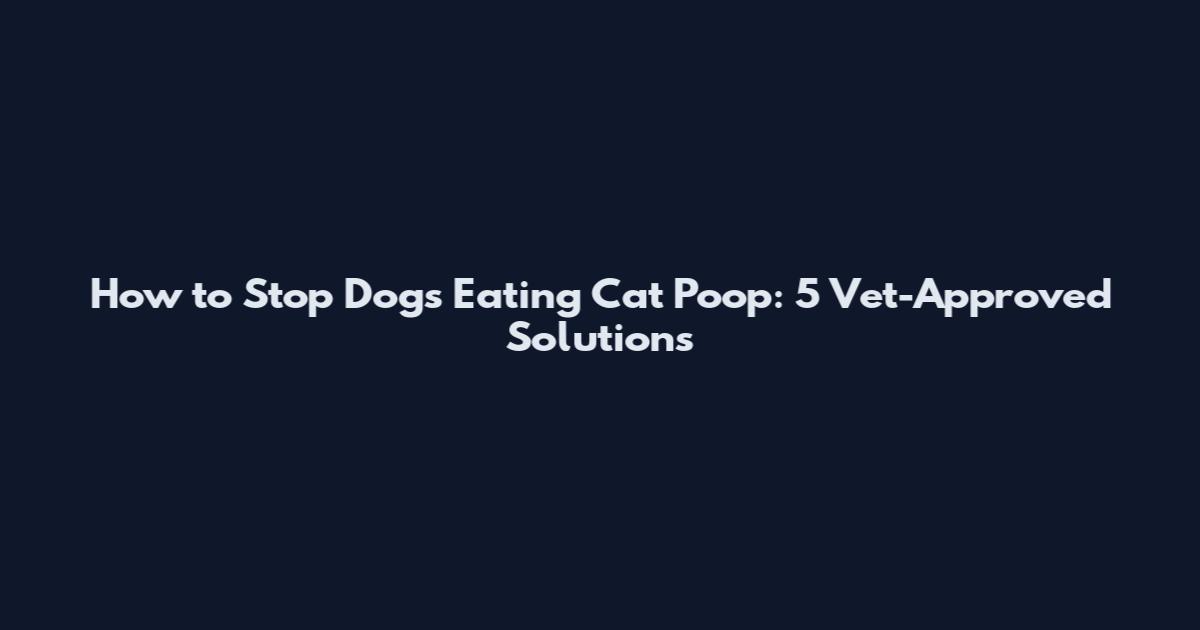 How to Stop Dogs Eating Cat Poop: 5 Vet-Approved Solutions