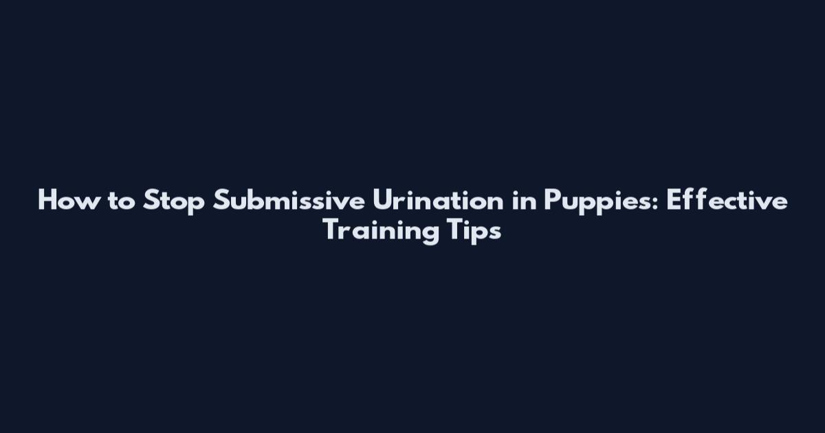 How to Stop Submissive Urination in Puppies: Effective Training Tips