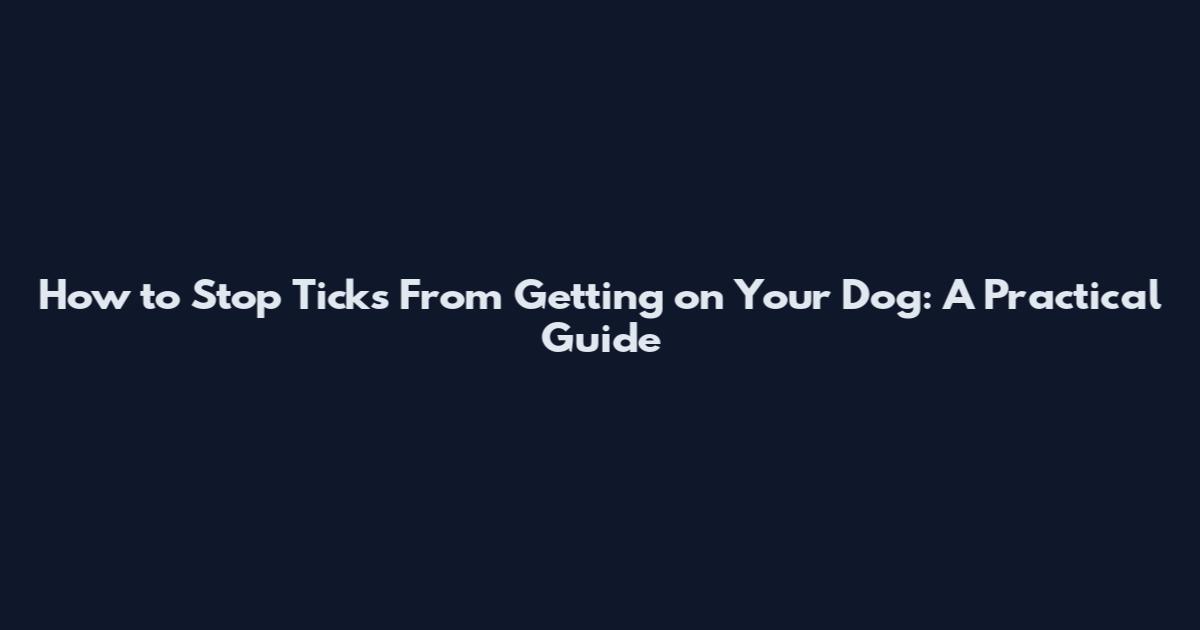 How to Stop Ticks From Getting on Your Dog: A Practical Guide