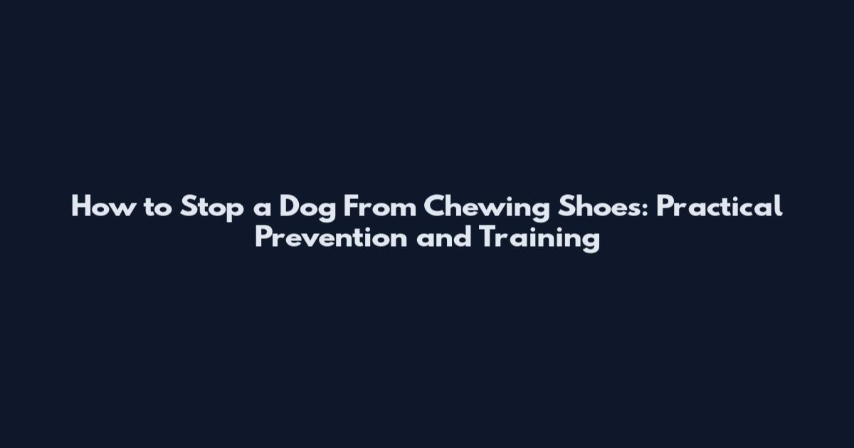 How to Stop a Dog From Chewing Shoes: Practical Prevention and Training