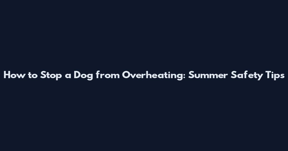 How to Stop a Dog from Overheating: Summer Safety Tips