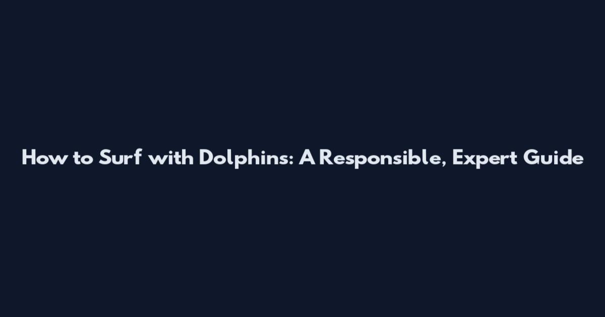 How to Surf with Dolphins: A Responsible, Expert Guide