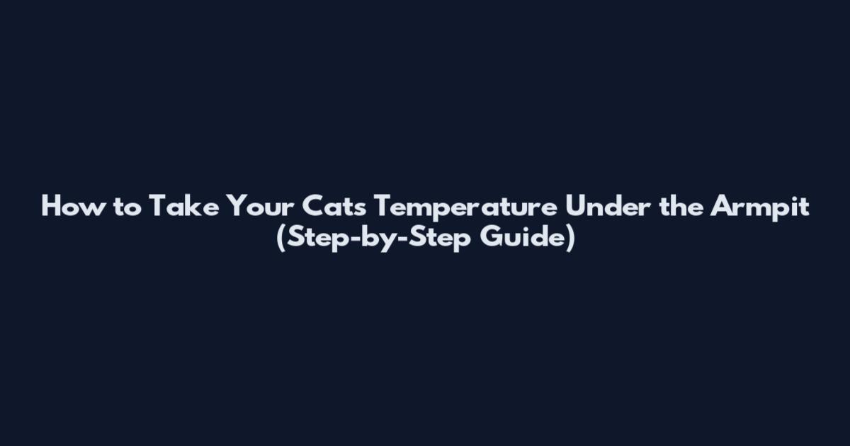 How to Take Your Cat's Temperature Under the Armpit (Step-by-Step Guide)