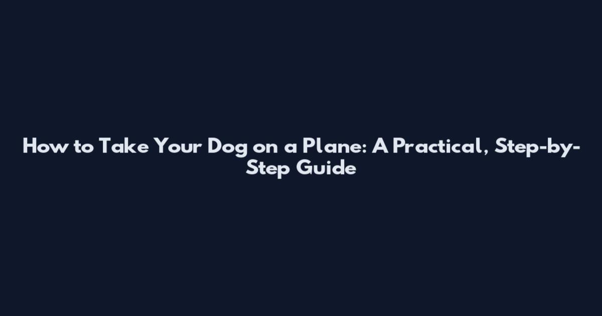 How to Take Your Dog on a Plane: A Practical, Step-by-Step Guide